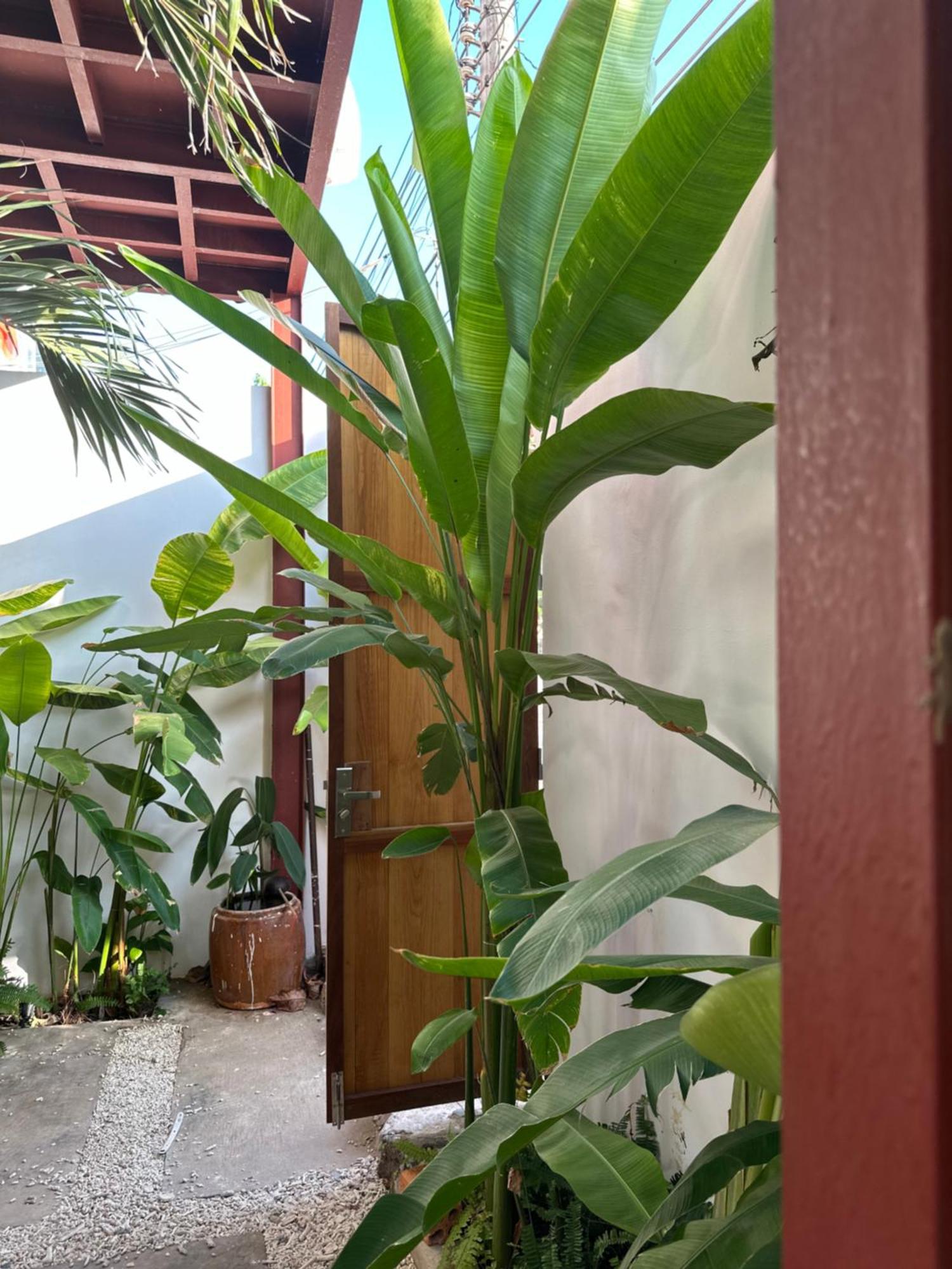 Palmcalina - Phuqui Beach House Cu Lao Thu Exterior photo